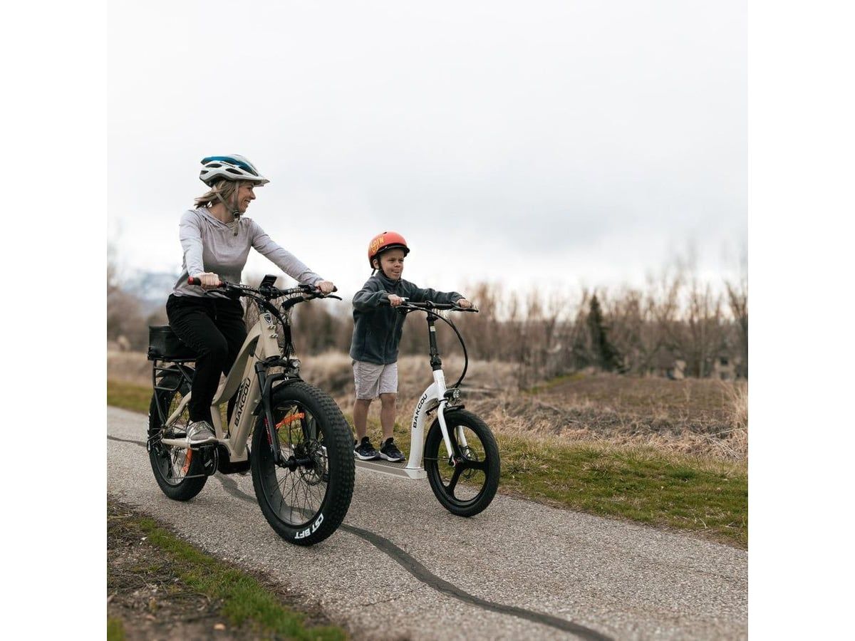 Badger Electric Scooter — image 4 of 13