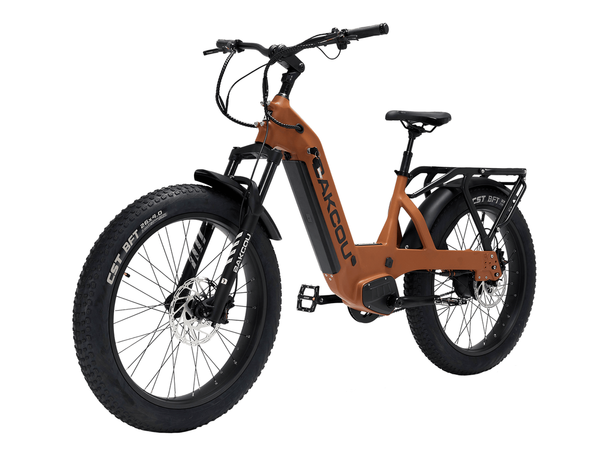 Flatlander SD — image 14 of 19