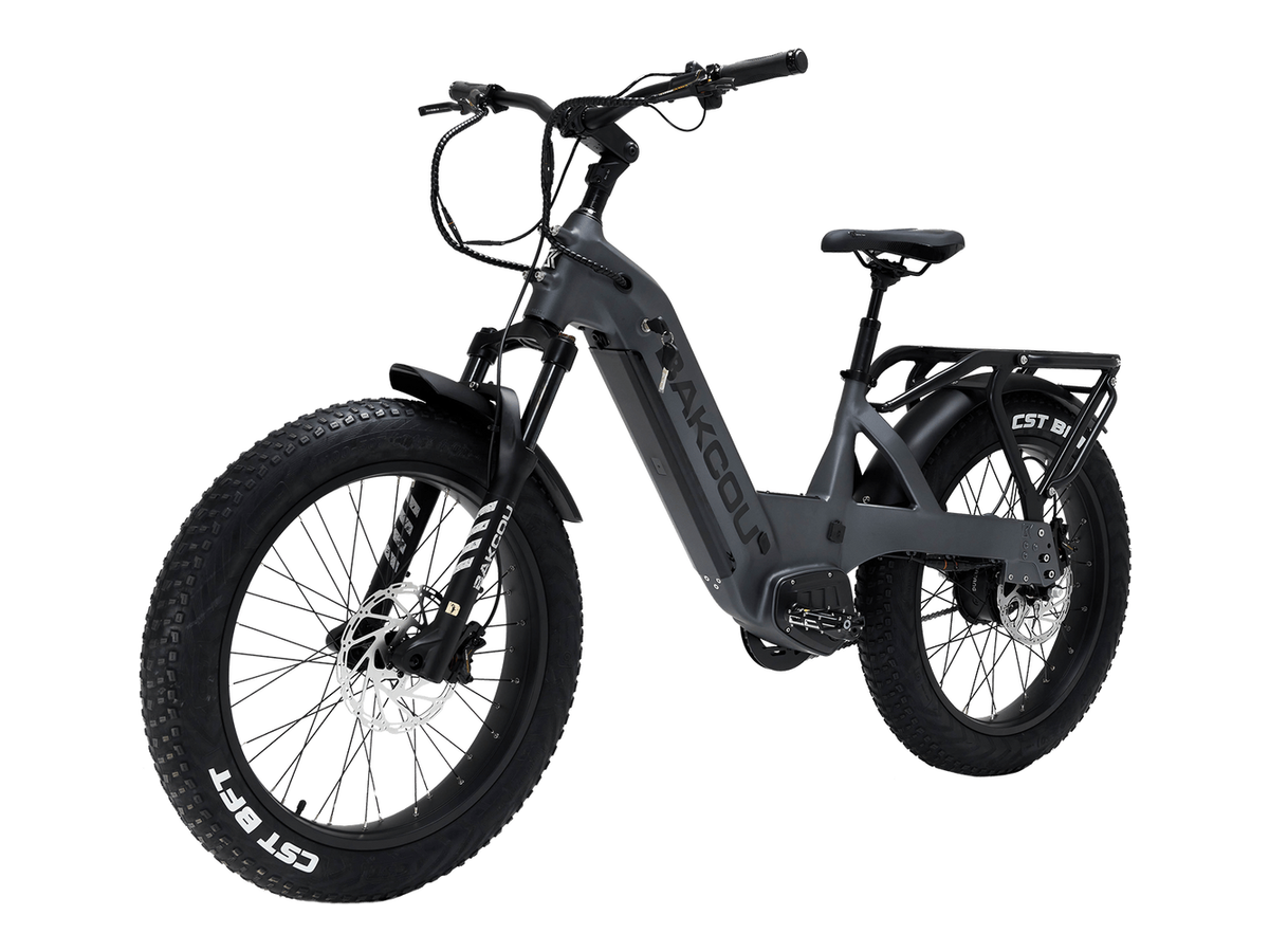 Flatlander SD — image 15 of 19