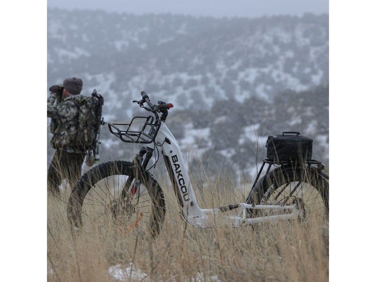 Grizzly Electric Scooter — image 3 of 19