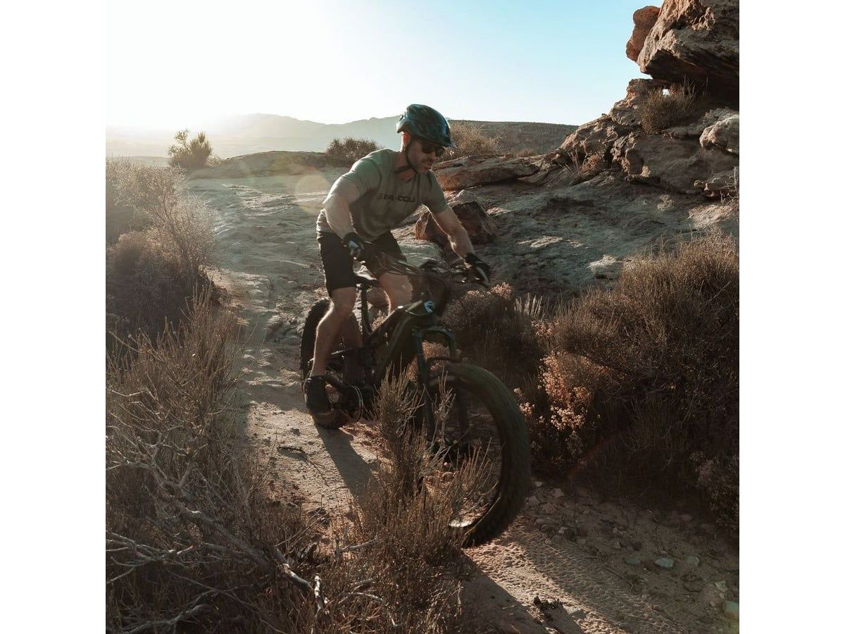 Scout — image 4 of 18